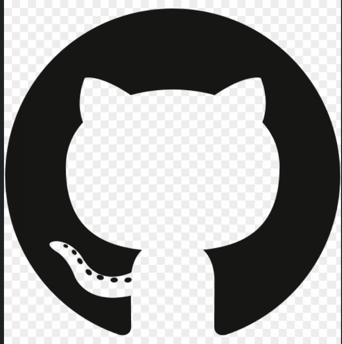 GitHub icon